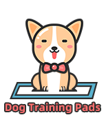 Best Puppy Pad Reviews