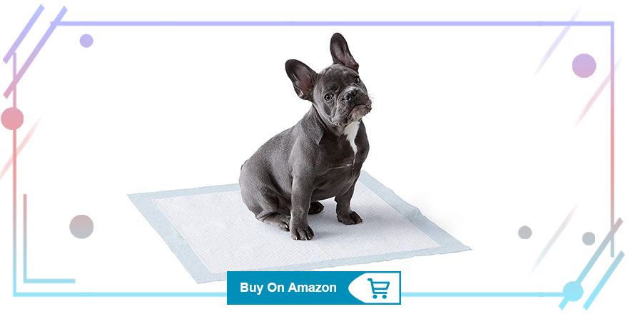 Amazon Basics Puppy Pads for Potty Training